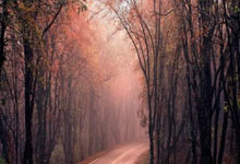 B费：对霍伊伦个人的信心提升来说，进球非常重要.