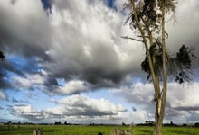 [CBA]上海久事拿到本赛季主场首胜.