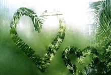 队报：利物浦、阿森纳和诺丁汉森林争夺狼堡前锋阿莫拉.