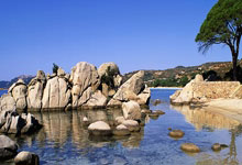 178直播：春节假期广州入境游市场升温 入境游客4.6万人次2025-02-05.